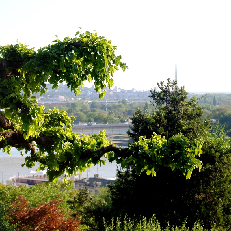 Из суседства